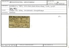 Karteikarte zum Belegmaterial von Quinqueloculina indet.